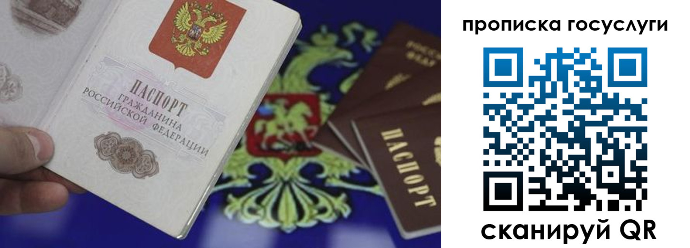 прописка для школы в Болхове
